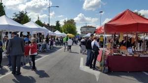 Domenica ecologica
